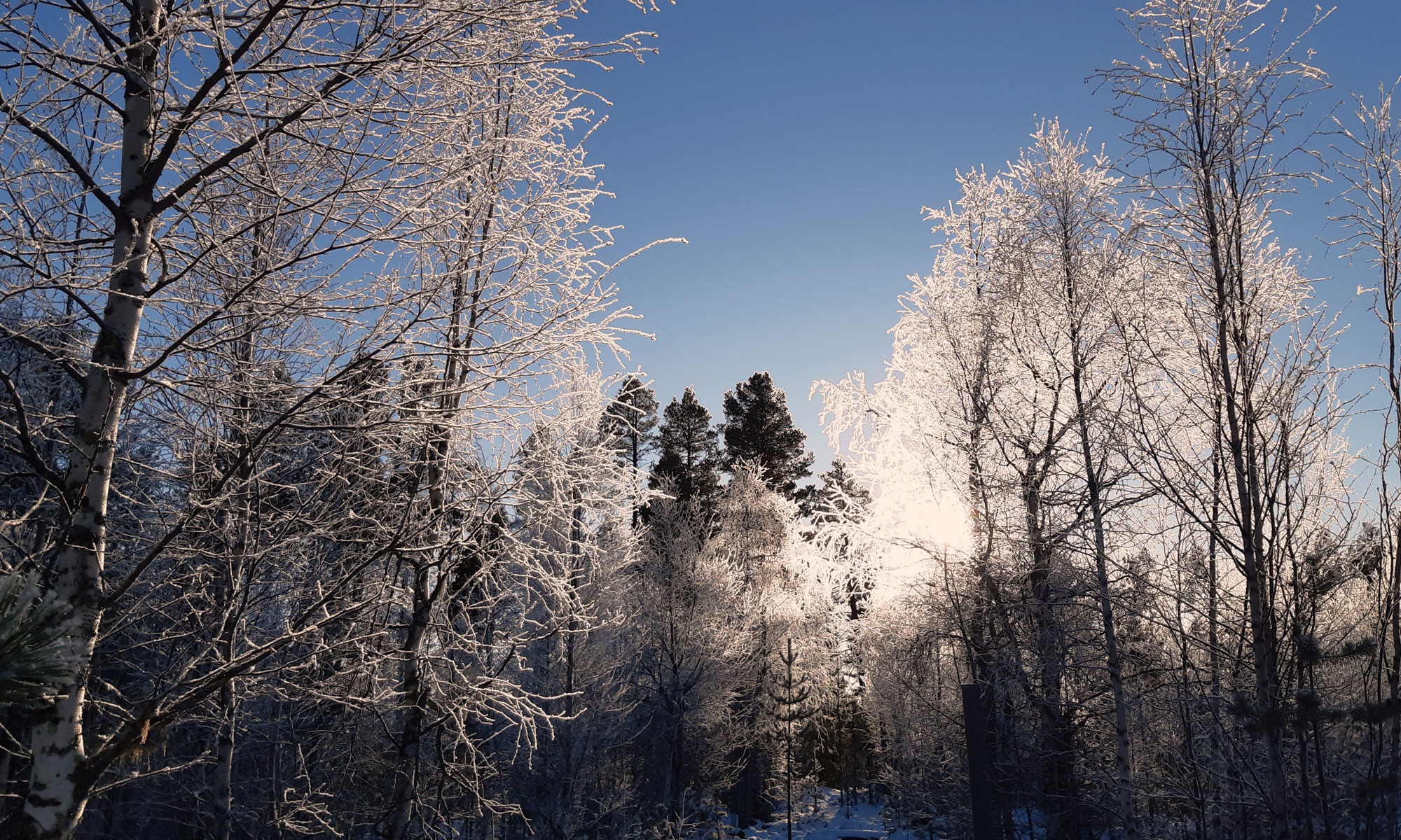 Frontpage_Slider231021_web